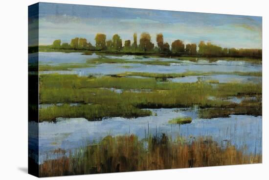 Marshland-Tim O'toole-Stretched Canvas