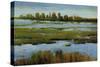 Marshland-Tim O'toole-Stretched Canvas