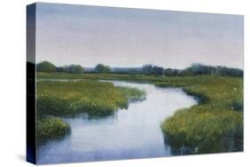 Marshlands I-Tim OToole-Stretched Canvas