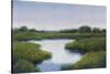 Marshlands II-Tim OToole-Stretched Canvas