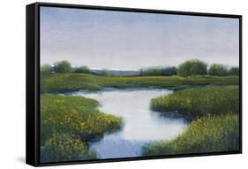 Marshlands II-Tim OToole-Framed Stretched Canvas