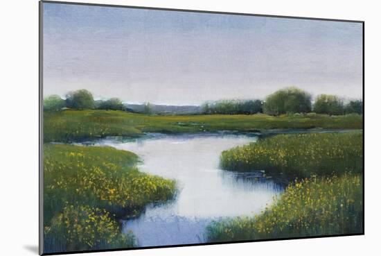 Marshlands II-Tim OToole-Mounted Art Print