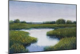 Marshlands II-Tim OToole-Mounted Art Print