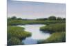 Marshlands II-Tim OToole-Mounted Premium Giclee Print