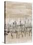 Marshline Reflection I-Jennifer Goldberger-Stretched Canvas