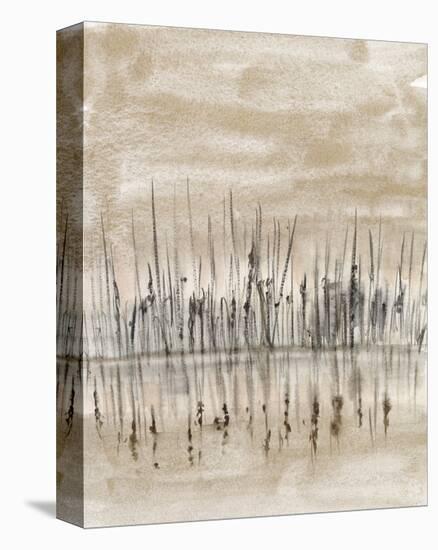 Marshline Reflection II-Jennifer Goldberger-Stretched Canvas