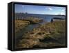 Marshy Flats at Rye Harbor, Nh-null-Framed Stretched Canvas