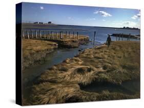 Marshy Flats at Rye Harbor, Nh-null-Stretched Canvas