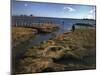 Marshy Flats at Rye Harbor, Nh-null-Mounted Photographic Print