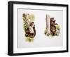 Marsican Brown Bear (Ursus Arctos Marsicanus), Ursidae-null-Framed Giclee Print