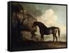 Marske', a Dark Bay Racehorse, in a Rocky River Landscape-George Stubbs-Framed Stretched Canvas