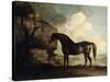 Marske', a Dark Bay Racehorse, in a Rocky River Landscape-George Stubbs-Stretched Canvas