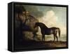Marske', a Dark Bay Racehorse, in a Rocky River Landscape-George Stubbs-Framed Stretched Canvas