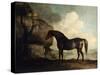 Marske', a Dark Bay Racehorse, in a Rocky River Landscape-George Stubbs-Stretched Canvas