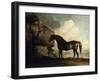 Marske', a Dark Bay Racehorse, in a Rocky River Landscape-George Stubbs-Framed Giclee Print