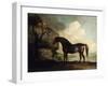 Marske', a Dark Bay Racehorse, in a Rocky River Landscape-George Stubbs-Framed Giclee Print