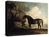 Marske'-George Stubbs-Stretched Canvas