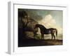 Marske'-George Stubbs-Framed Giclee Print