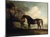 Marske'-George Stubbs-Mounted Giclee Print