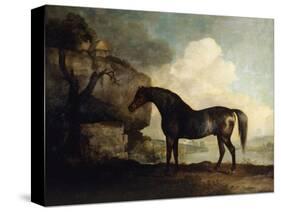 Marske'-George Stubbs-Stretched Canvas