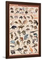 Marsupials-null-Framed Poster