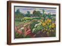 Brown Frame