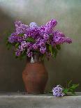 Bouquet of Lilacs-Marta Teron-Mounted Photographic Print