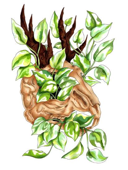 Art Print, , large