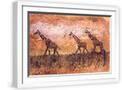 White Frame