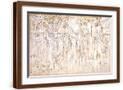 Brown Frame