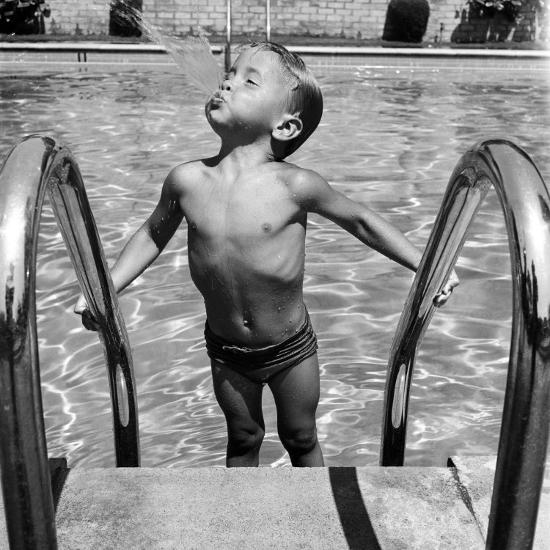 Premium Photographic Print, , large