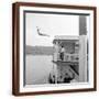 Brown Frame