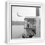 White Frame