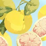 Fresh Grapefruits-Martha Negley-Giclee Print