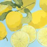 Fresh Lemons-Martha Negley-Laminated Giclee Print