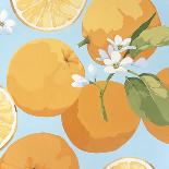 Fresh Lemons-Martha Negley-Mounted Giclee Print