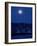 Martha's Vineyard 40-80, Holland 7-78, NYC 12-71-Alfred Eisenstaedt-Framed Photographic Print