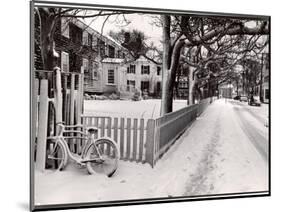 Martha's Vineyard in Winter-Alfred Eisenstaedt-Mounted Photographic Print