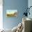 Martha's Vineyard, Mass.-null-Art Print displayed on a wall