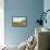 Martha's Vineyard, Mass.-null-Framed Stretched Canvas displayed on a wall