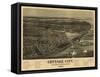 Martha's Vineyard, Massachusetts - Panoramic Map-Lantern Press-Framed Stretched Canvas