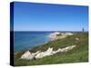 Martha's Vineyard-Guido Cozzi-Stretched Canvas