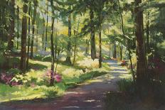 Winding Road-Martha Saudek-Giclee Print