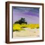 Brown Frame
