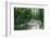 Marthaler Park Forest Trail-jrferrermn-Framed Photographic Print