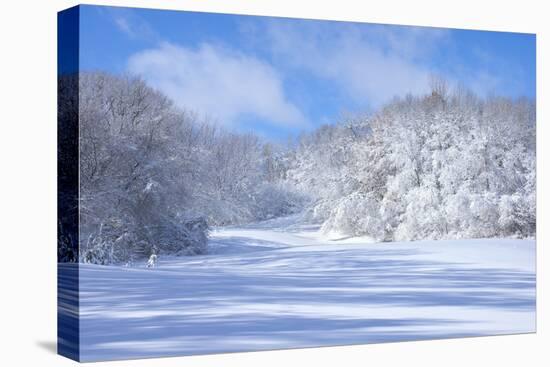 Marthaler Park Snowy Hills-jrferrermn-Stretched Canvas