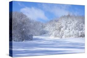 Marthaler Park Snowy Hills-jrferrermn-Stretched Canvas