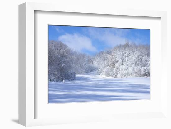 Marthaler Park Snowy Hills-jrferrermn-Framed Photographic Print