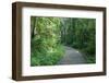 Marthaler Park Walkway-jrferrermn-Framed Photographic Print