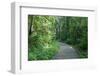 Marthaler Park Walkway-jrferrermn-Framed Photographic Print